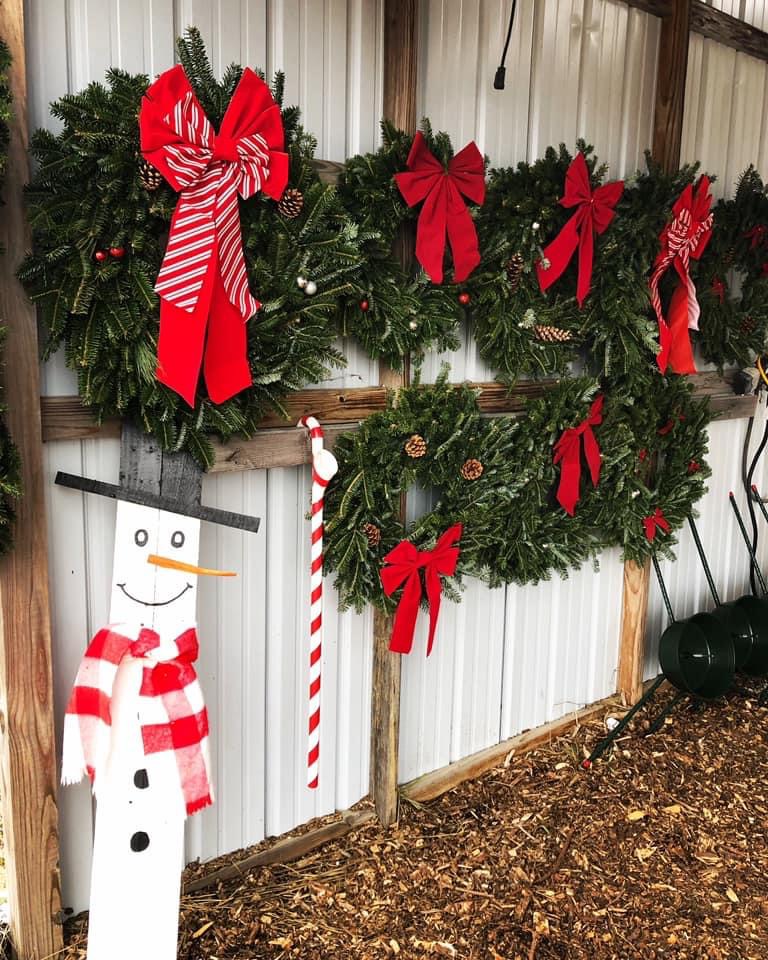 Wholesale Christmas Trees Schmuckal Transplanting Service